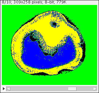 Fig. 7